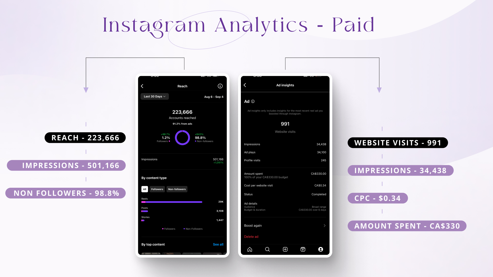 Instagram Analytics Paid